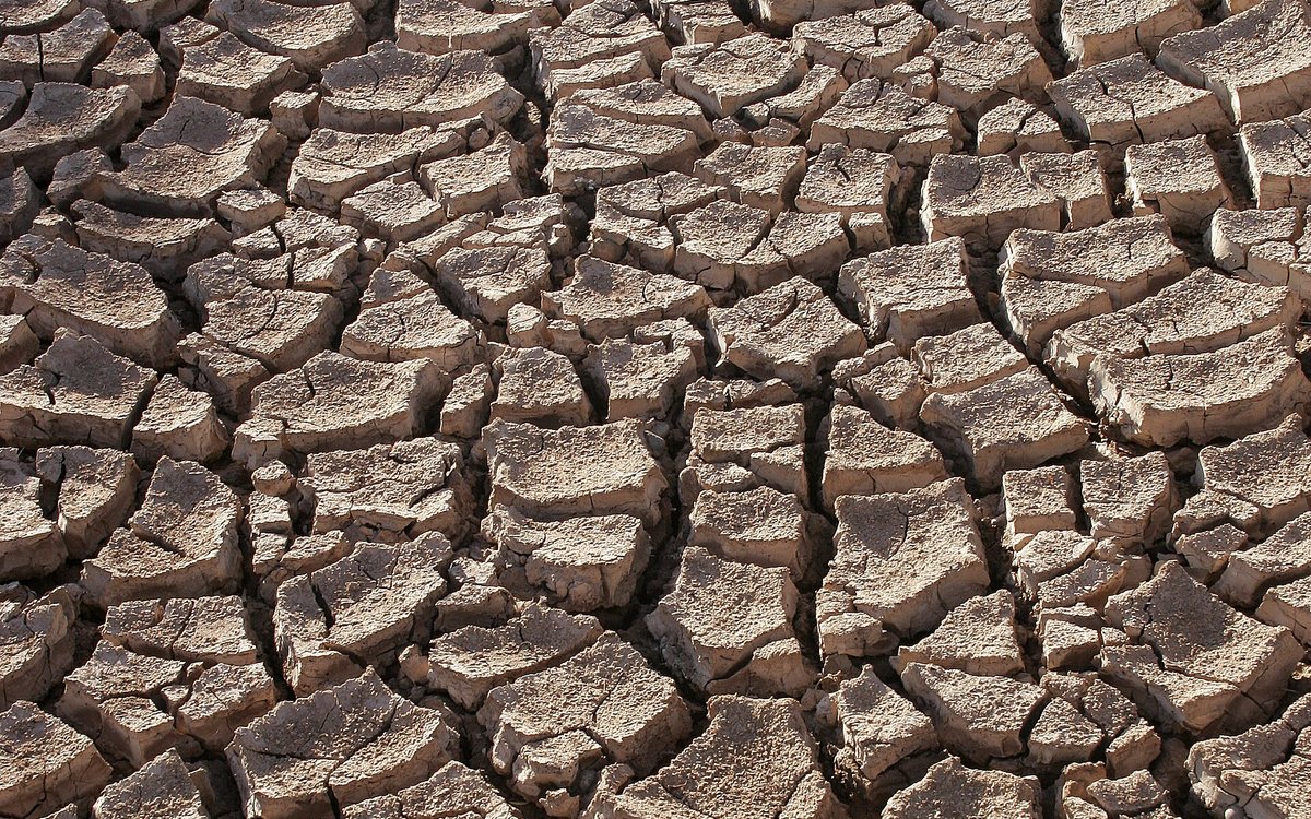 Sols craquelés par le manque de pluie